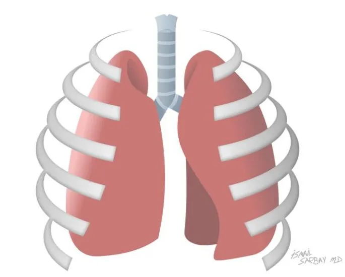 Op.Dr. İsmail Sarbay - Göğüs Cerrahı - Dr. Thorax